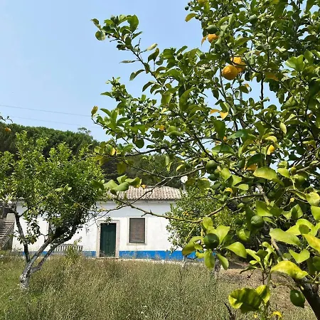 Morgado Lusitano Apartman Calhandriz